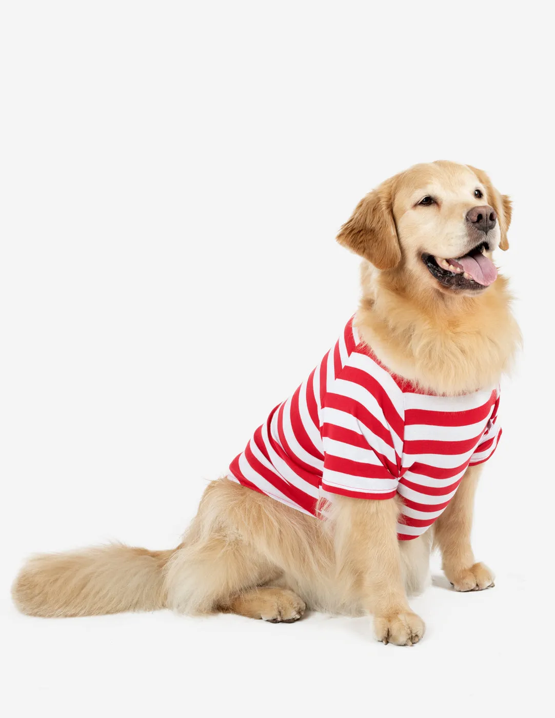 Big Dog Striped Pajamas