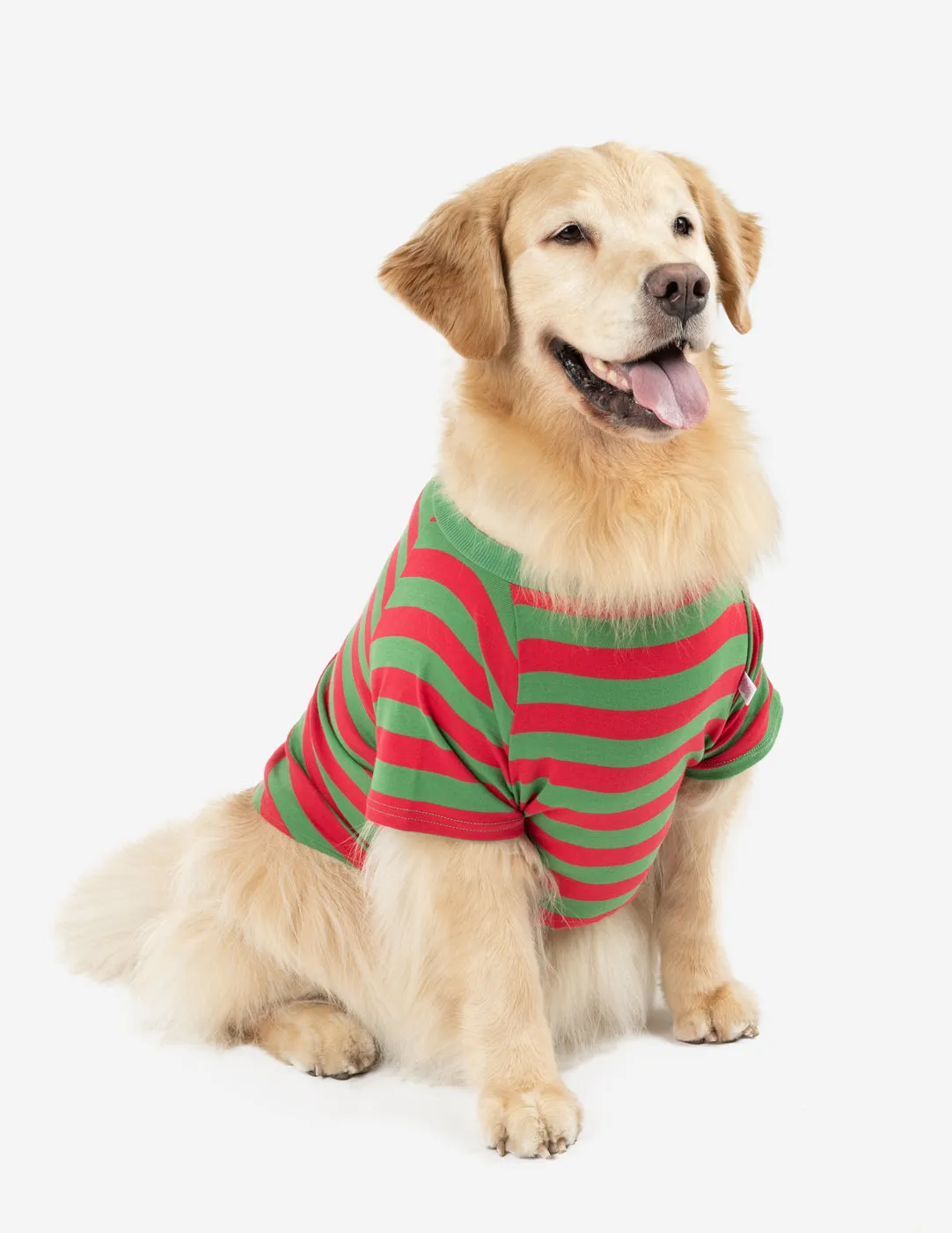 Big Dog Striped Pajamas