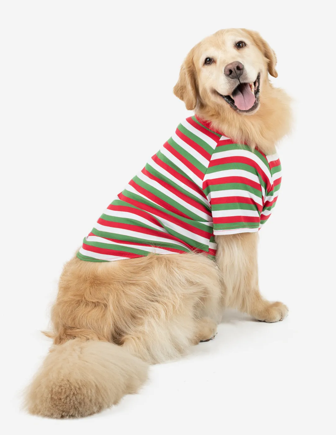 Big Dog Striped Pajamas