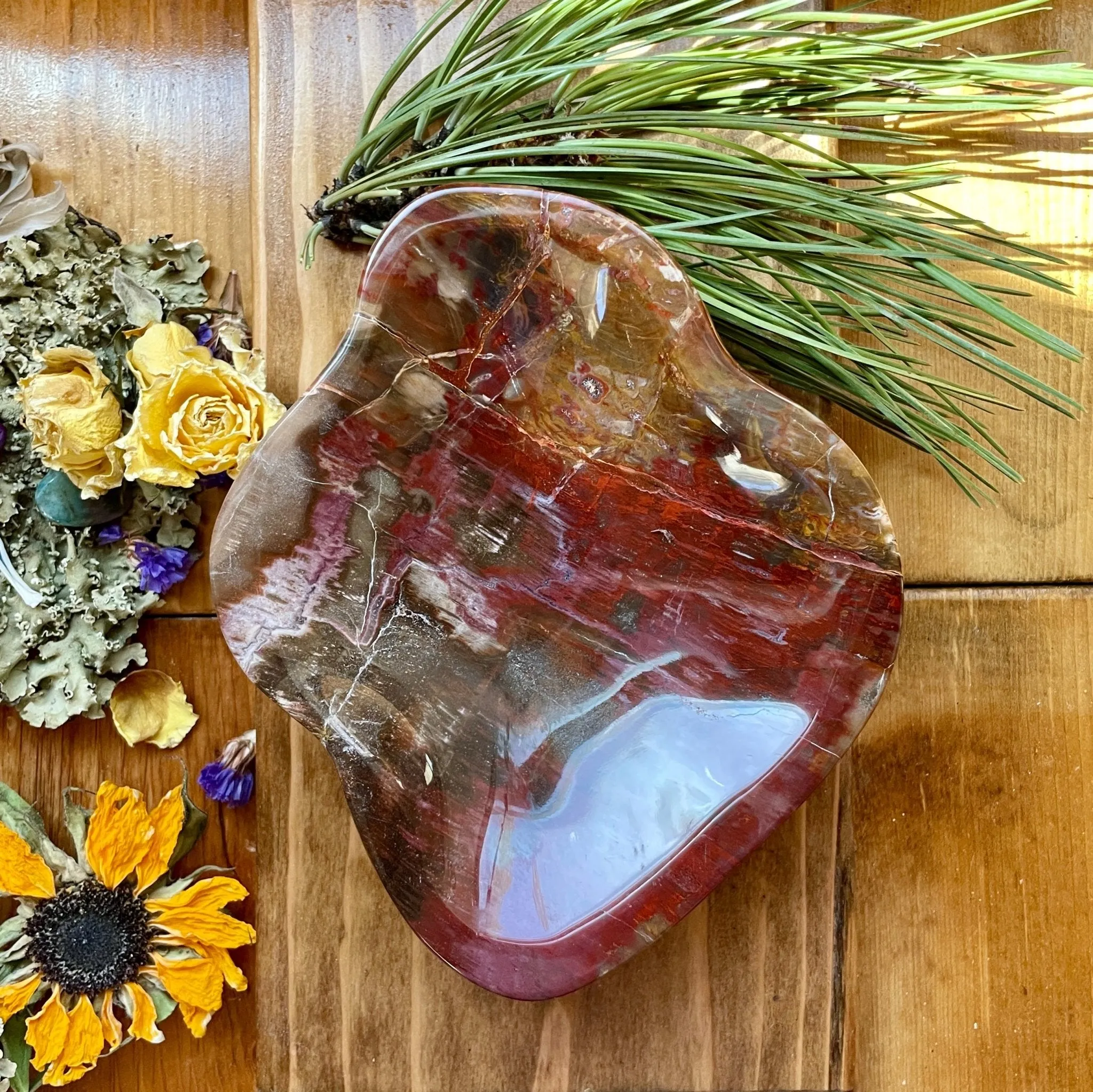 Four Directions Petrified Wood dish