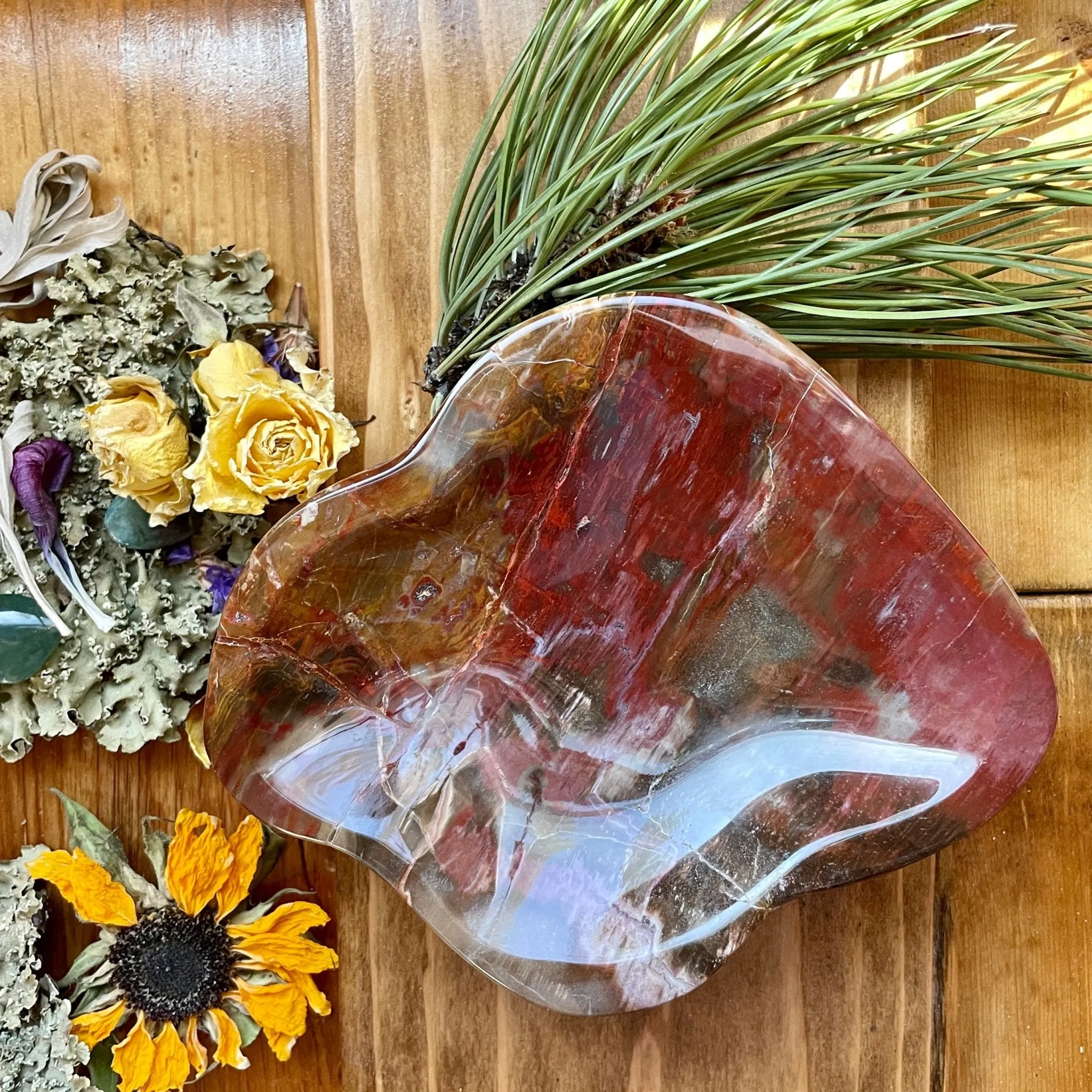 Four Directions Petrified Wood dish